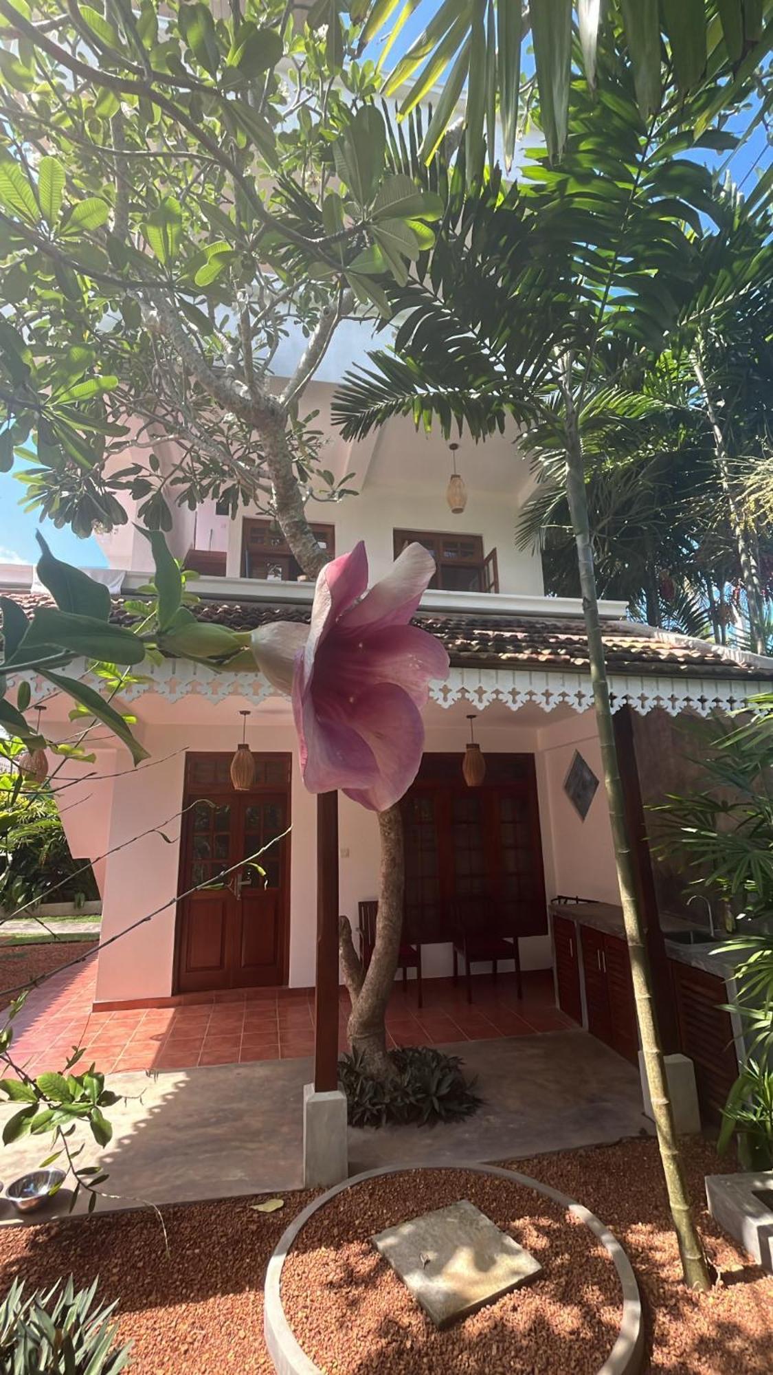 Beach Club Apartments Induruwa Exterior foto
